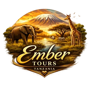 Ember Tours